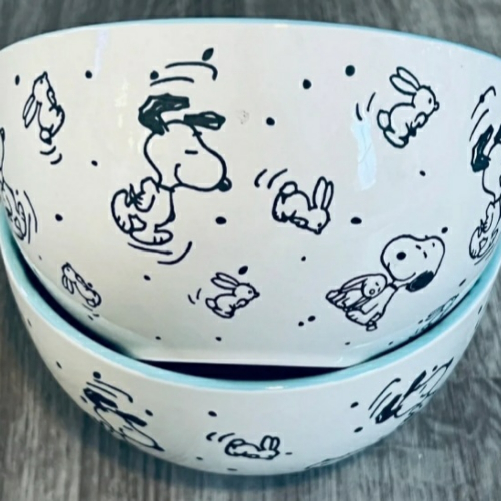 Snoopy Bowls